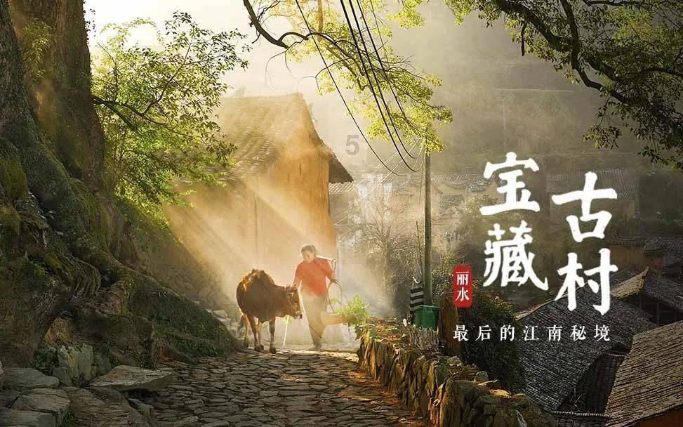 我的狗走丢了怎么办找不到游戏画面